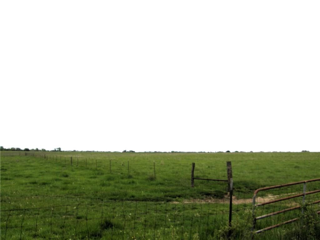 Kentucky Road — photo 12