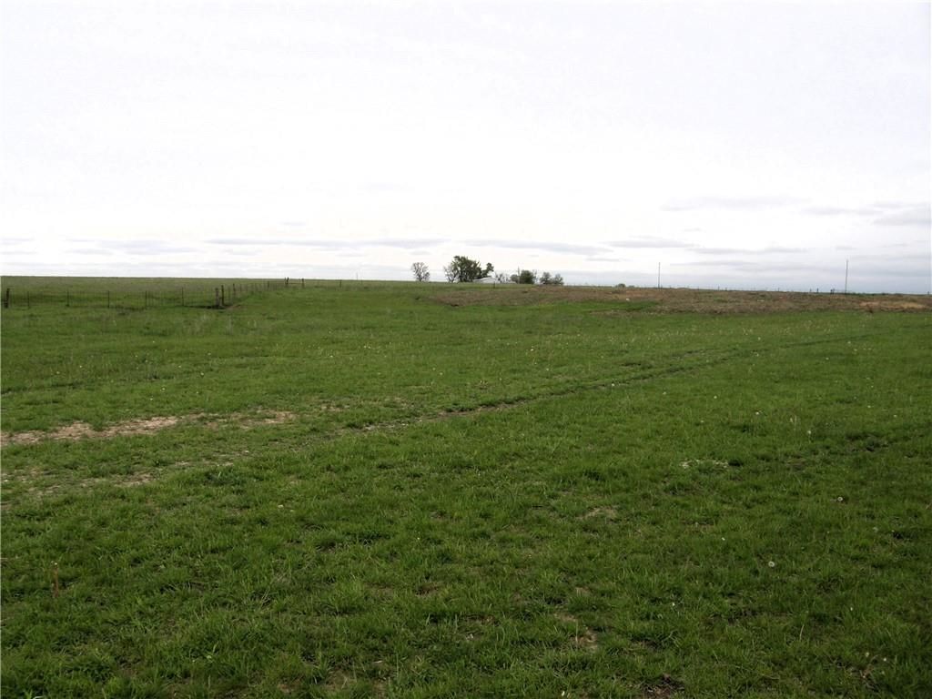Kentucky Road — photo 10