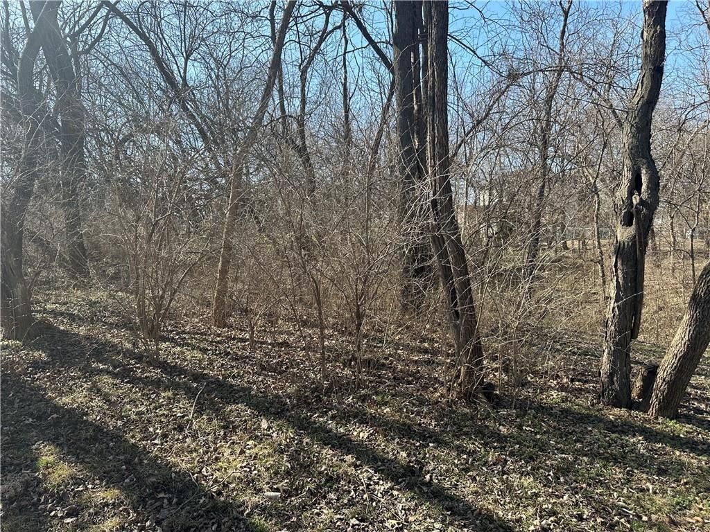 1110 E State Route V v Highway — photo 44