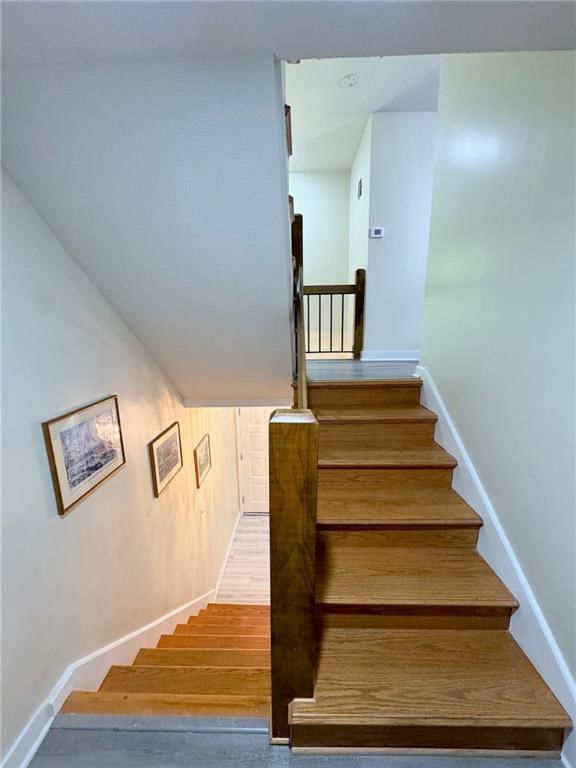 10229 Cedarbrooke Lane — photo 48