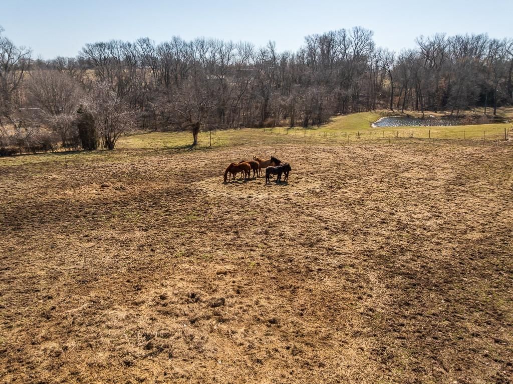 11564 Marshall School Road — photo 41