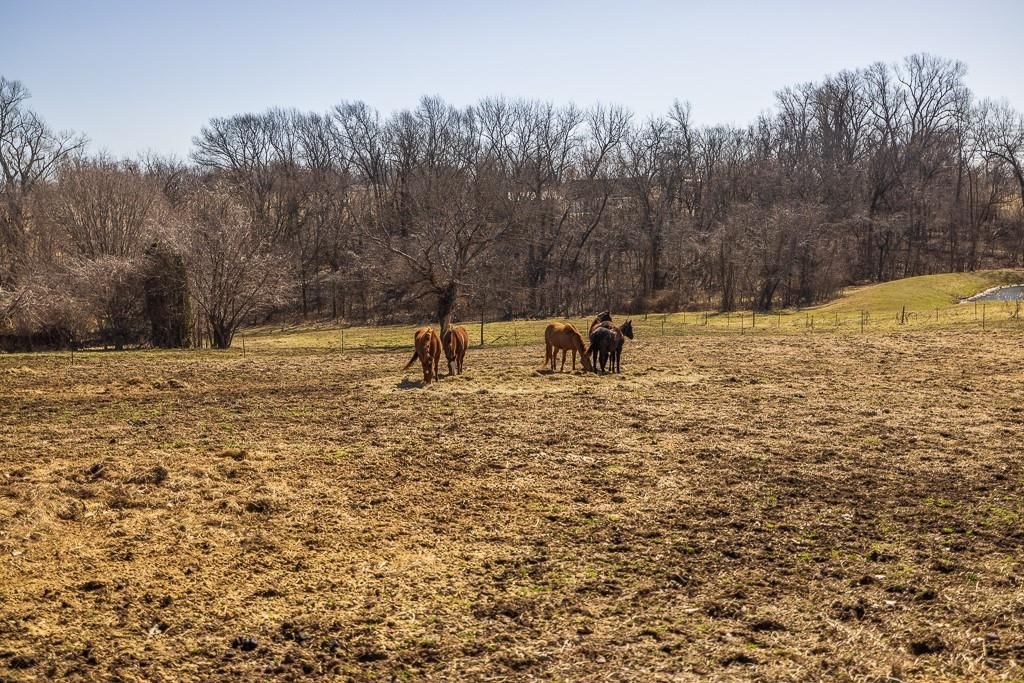 11564 Marshall School Road — photo 50