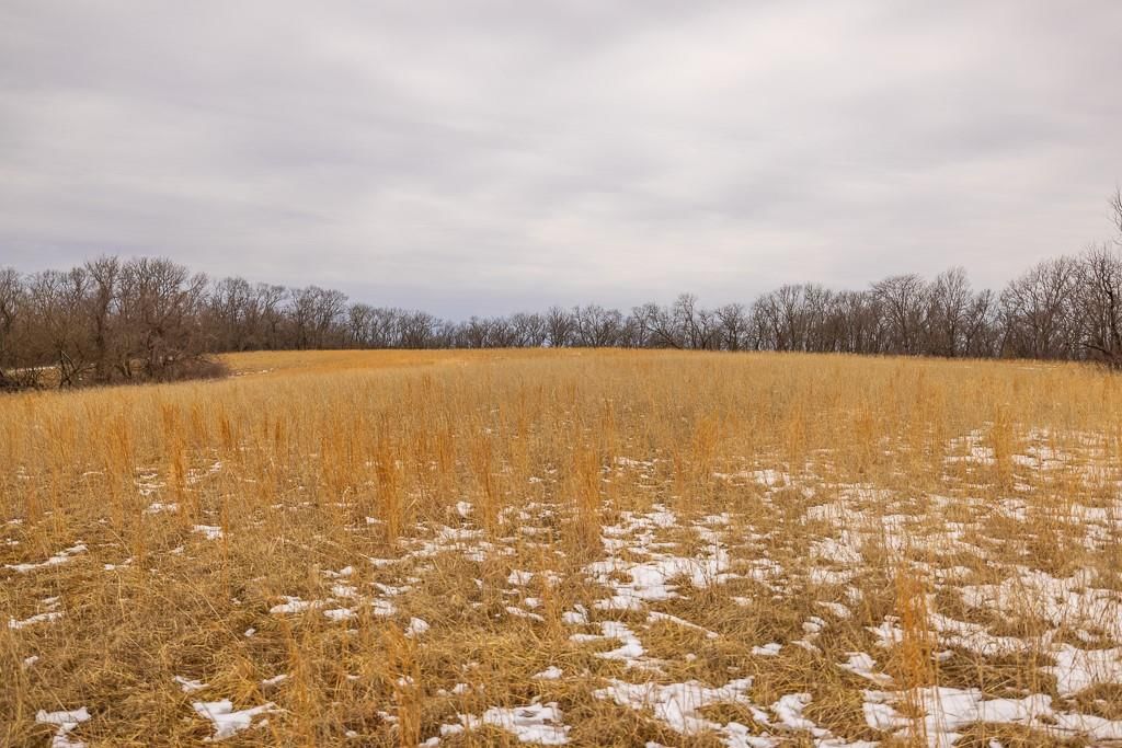 22052 Trout Road — photo 31
