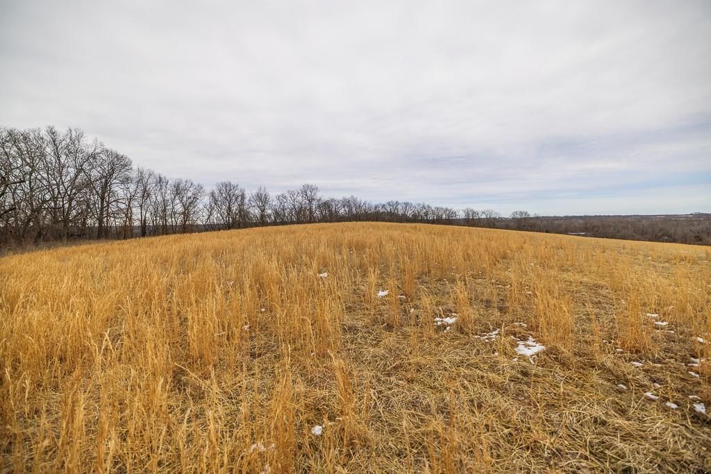 22052 Trout Road — photo 33