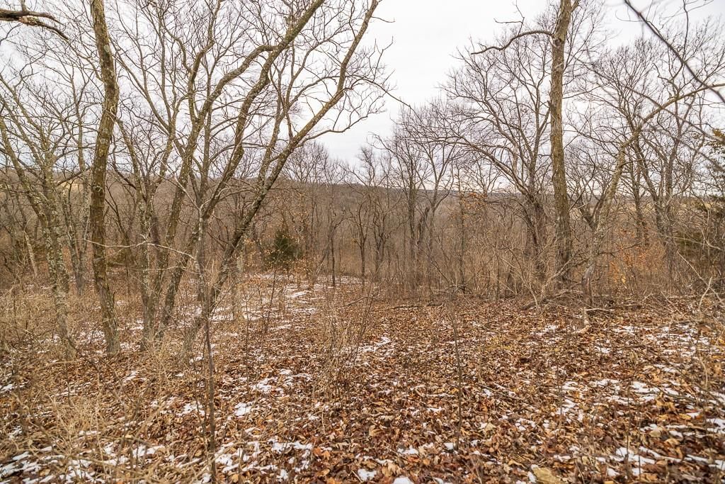 22052 Trout Road — photo 36