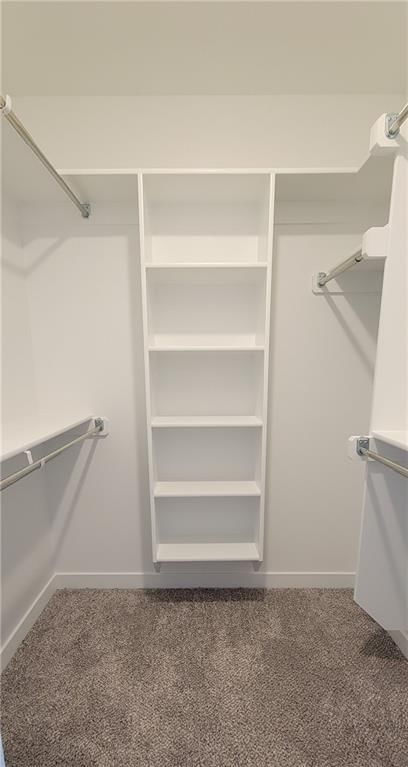 703 A&B Mahogany Court — photo 9