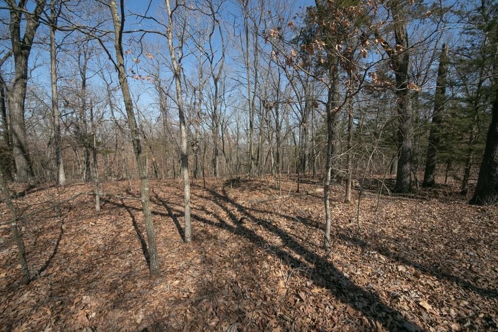 24517 County 64 Road — photo 20