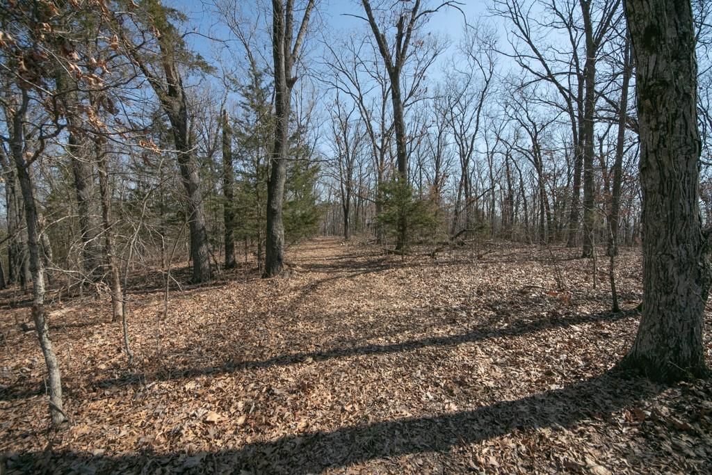 24517 County 64 Road — photo 22