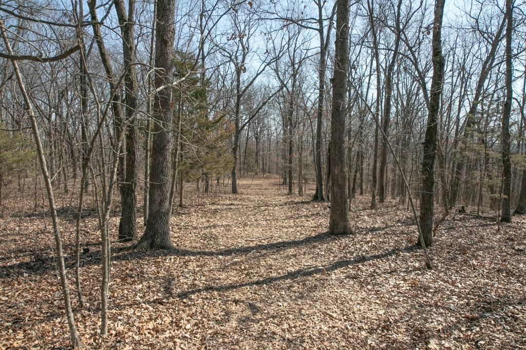 24517 County 64 Road — photo 25