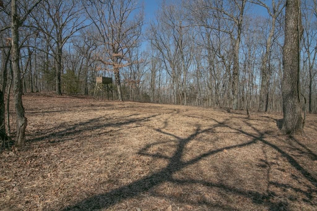24517 County 64 Road — photo 26