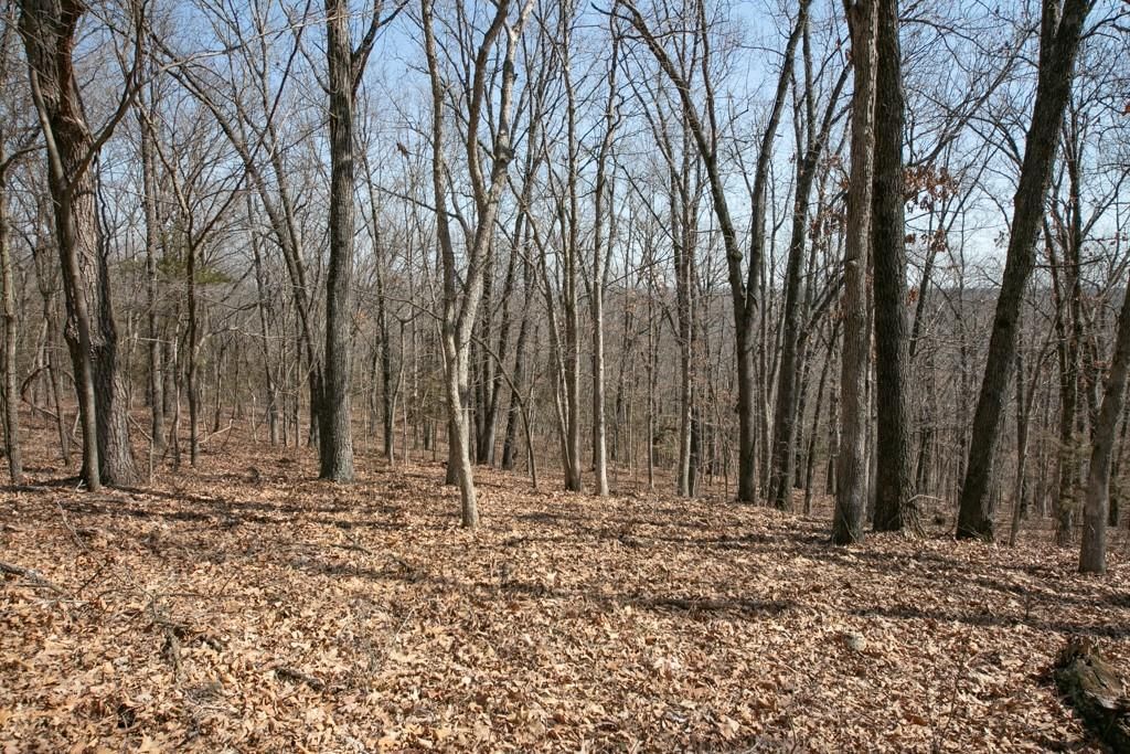 24517 County 64 Road — photo 30