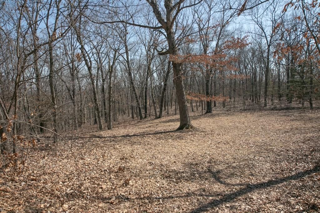 24517 County 64 Road — photo 32