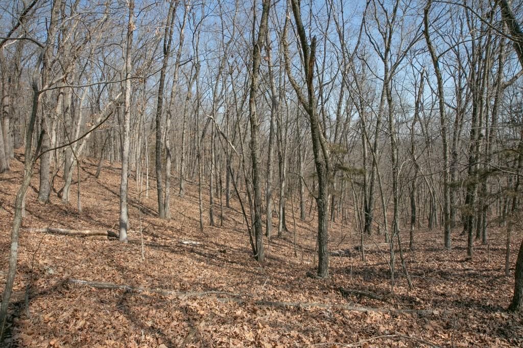 24517 County 64 Road — photo 33