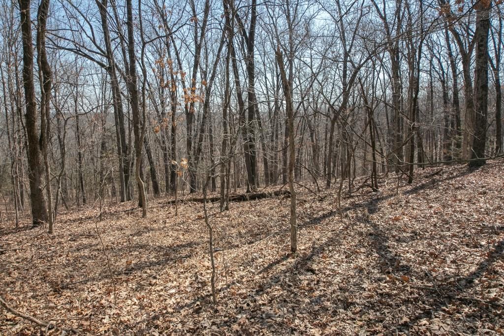 24517 County 64 Road — photo 36