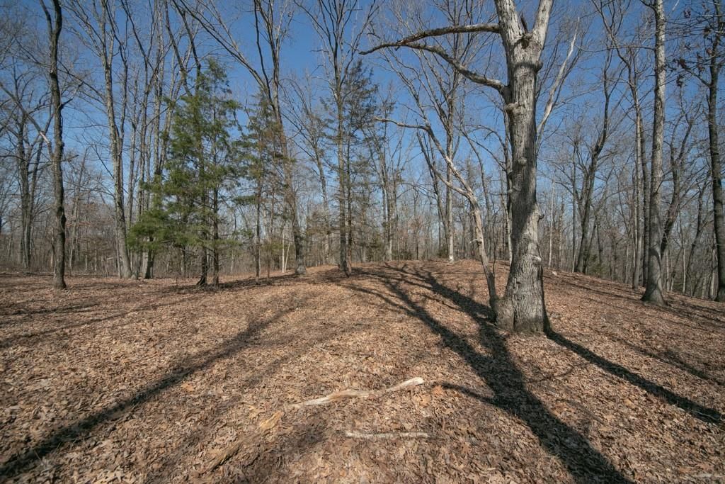 24517 County 64 Road — photo 37