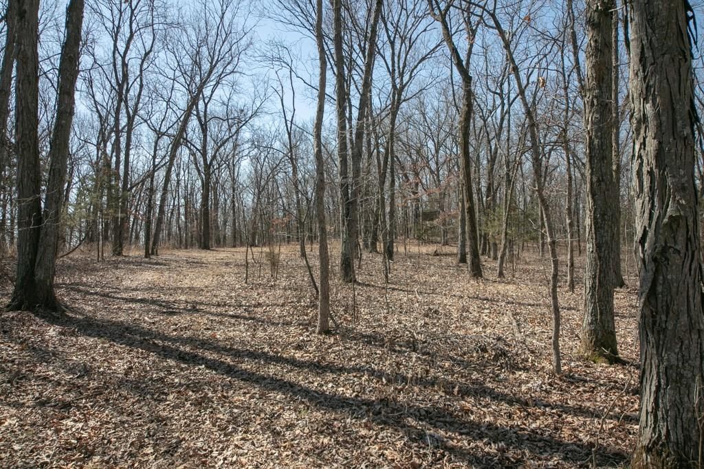 24517 County 64 Road — photo 38