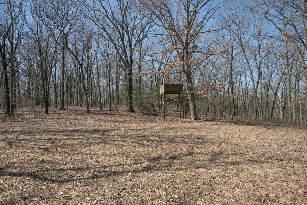 24517 County 64 Road — photo 39