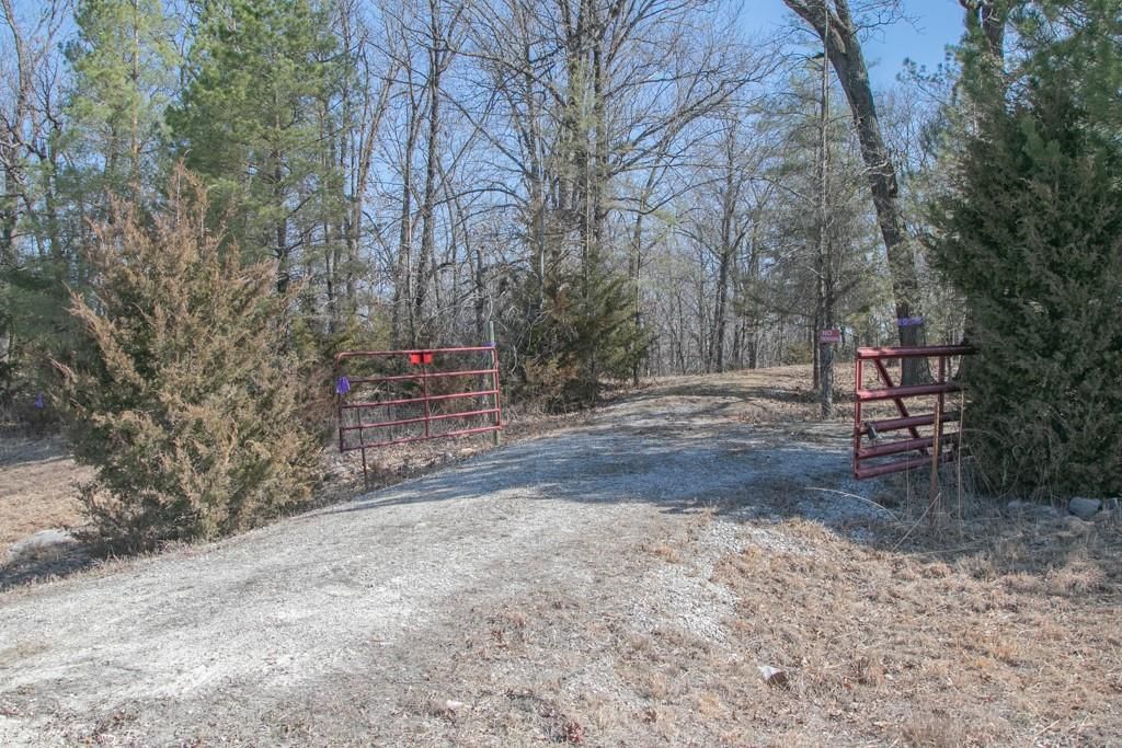 24517 County 64 Road — photo 5