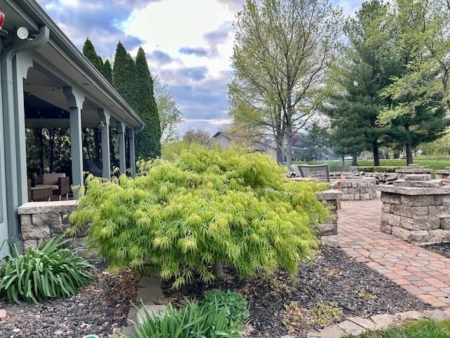 9701 Timber Meadows Drive — photo 5