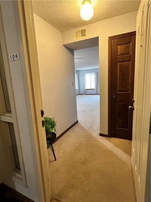 301 S SPRING Street — photo 28