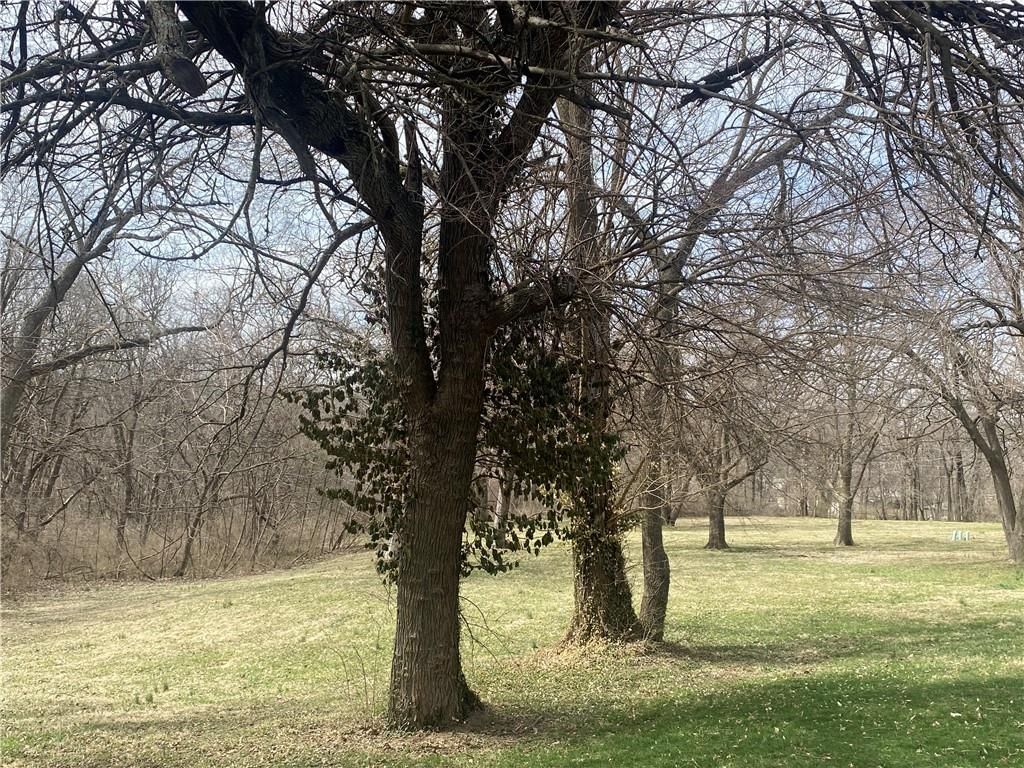 8 Country Club Road — photo 56