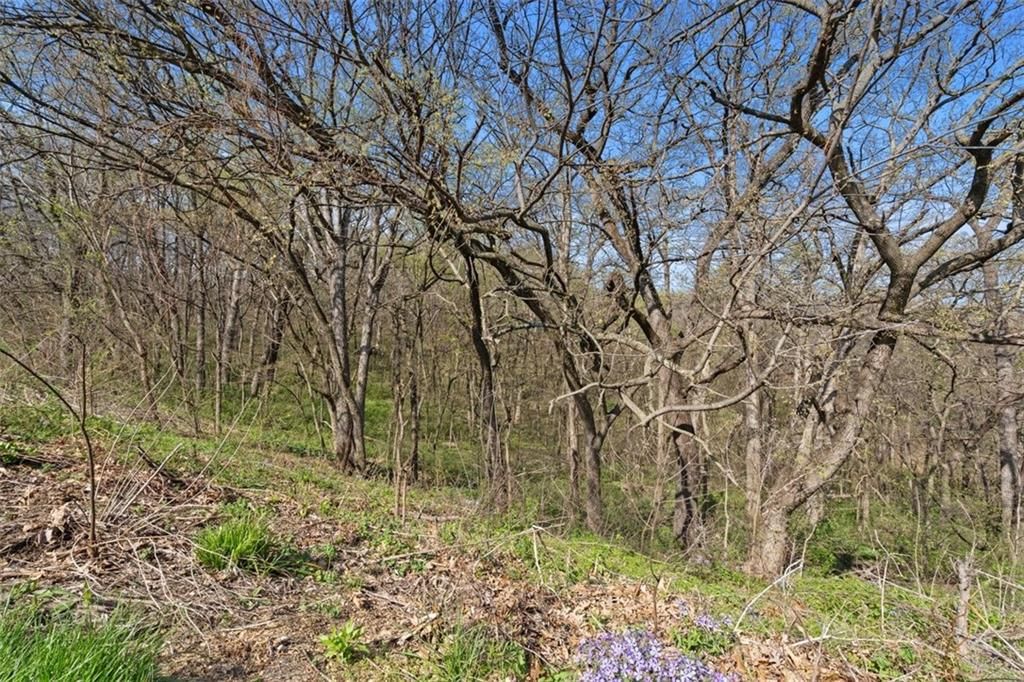 9197 Devils Backbone Road — photo 11