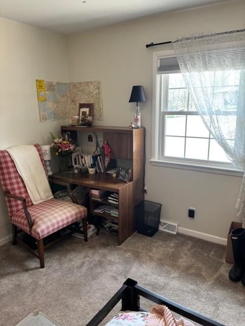 1718 Linden Lane — photo 23