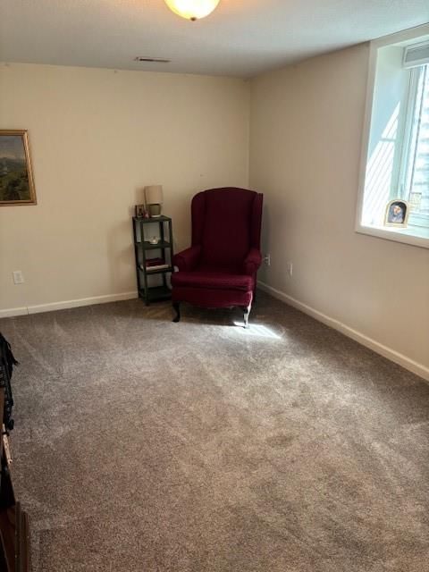 1718 Linden Lane — photo 47