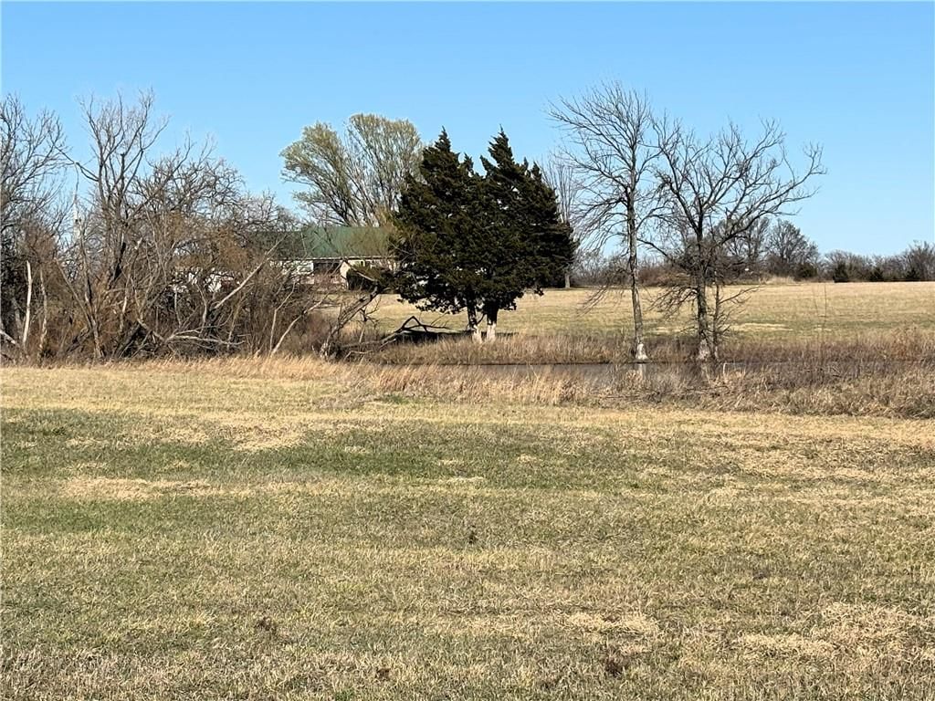 1175 Quail Road — photo 9