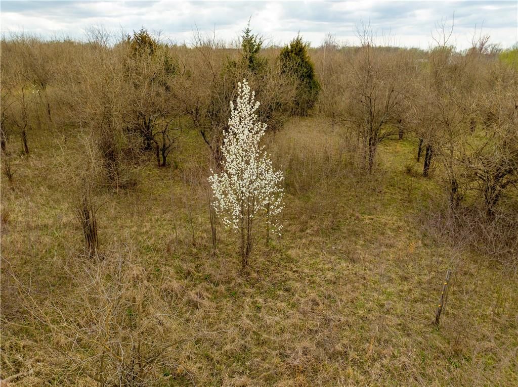2387 N 1100 Road — photo 51