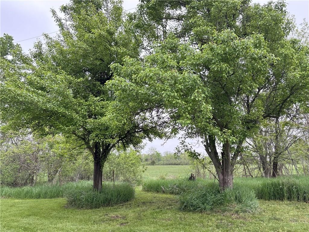 36040 W 311th Street — photo 41