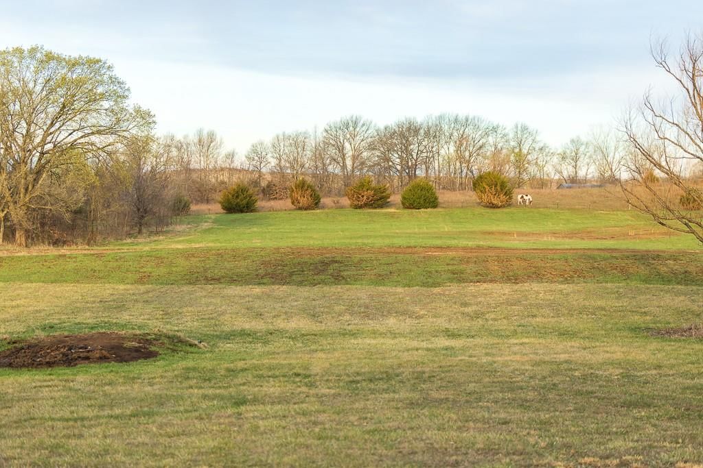 21496 Moss Road — photo 41