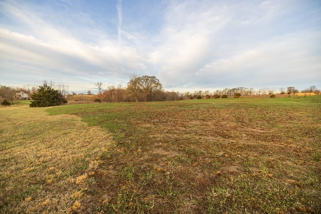 21496 Moss Road — photo 43