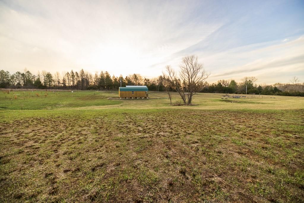 21496 Moss Road — photo 44