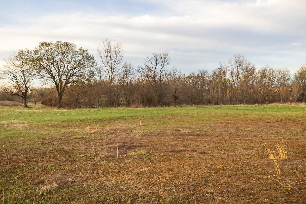 21496 Moss Road — photo 46