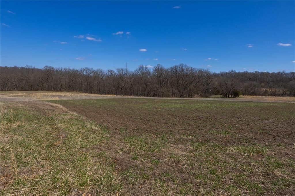 22529 State HWY DD Highway — photo 10