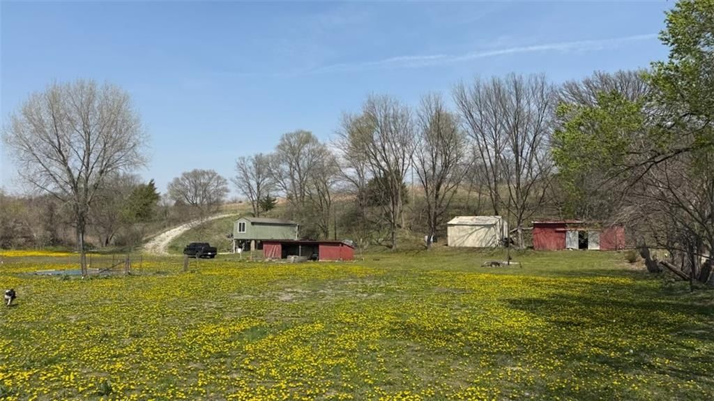14424 County Road 402 Road — photo 17