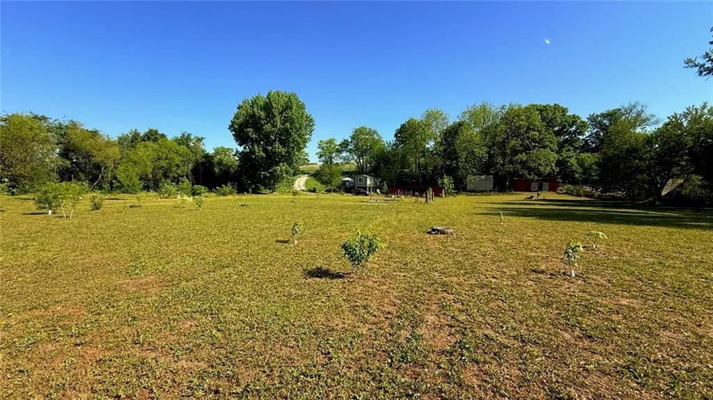 14424 County Road 402 Road — photo 24