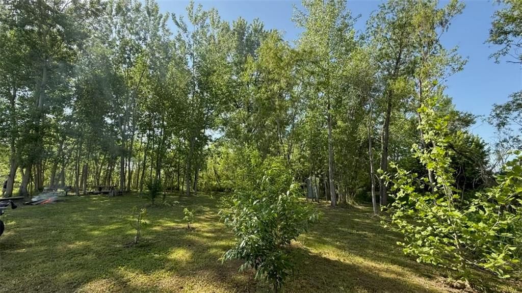 14424 County Road 402 Road — photo 29