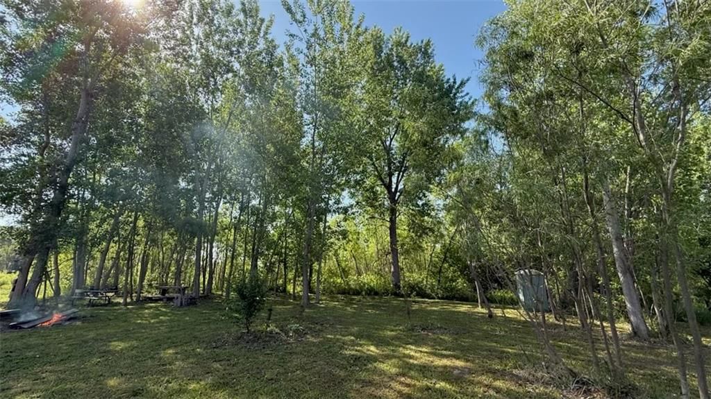 14424 County Road 402 Road — photo 31