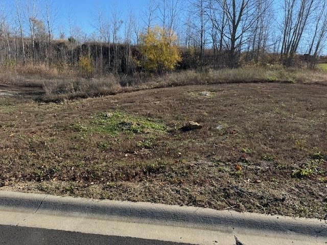 3551 N 110th Terrace — photo 4