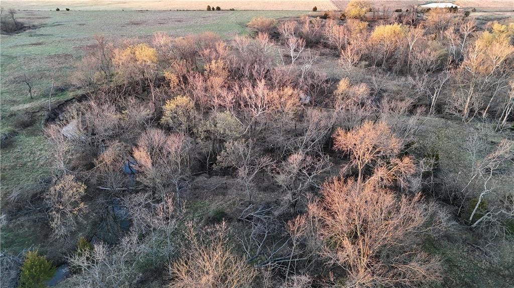 629 US-75 Highway — photo 12