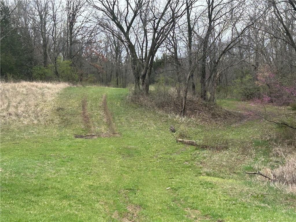 12932 Shoemaker Road — photo 7