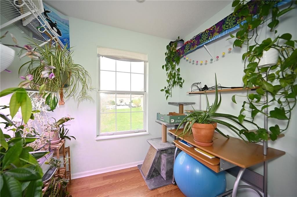 6956 N Olive Street — photo 15