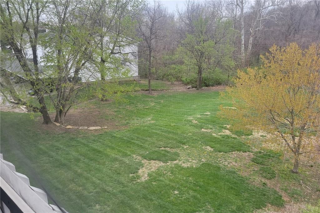 6956 N Olive Street — photo 26