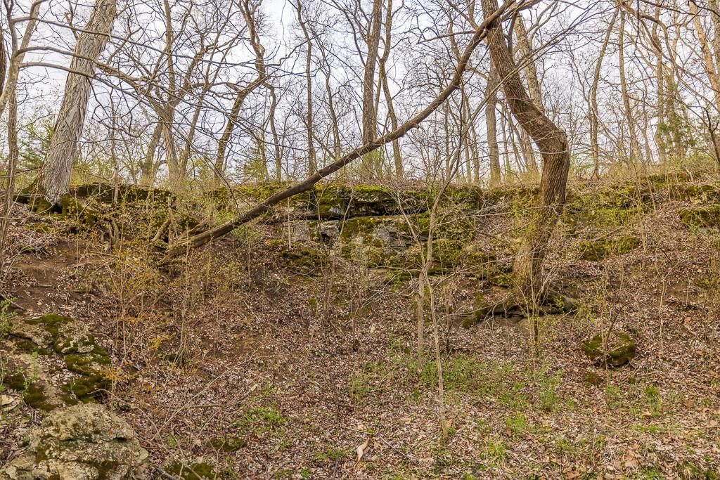 45230 E 201 Street — photo 28