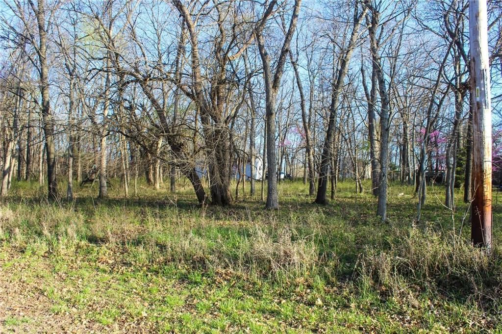 178 Wilderness Trail — photo 3