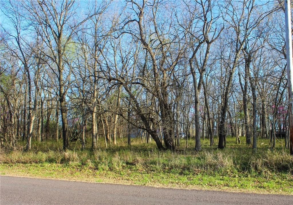 178 Wilderness Trail — photo 4
