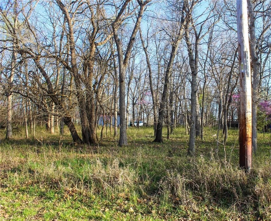 178 Wilderness Trail — photo 5