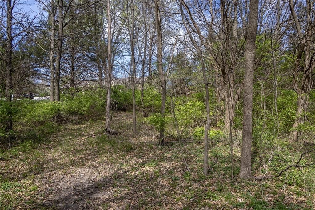 15691 Blackberry Trail — photo 28